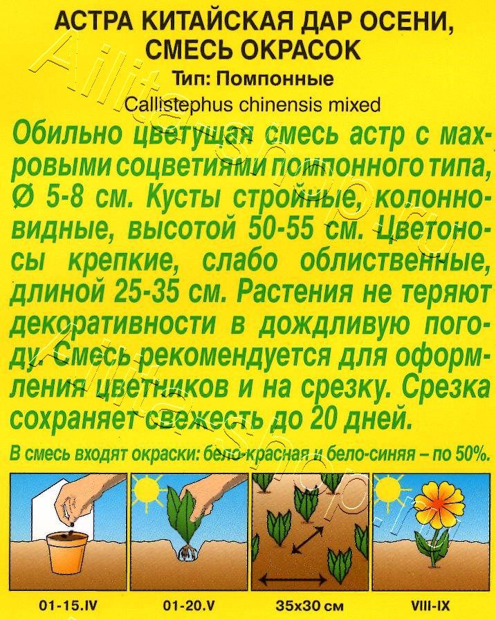 Астра Дар осени, смесь окрасок 0,2г