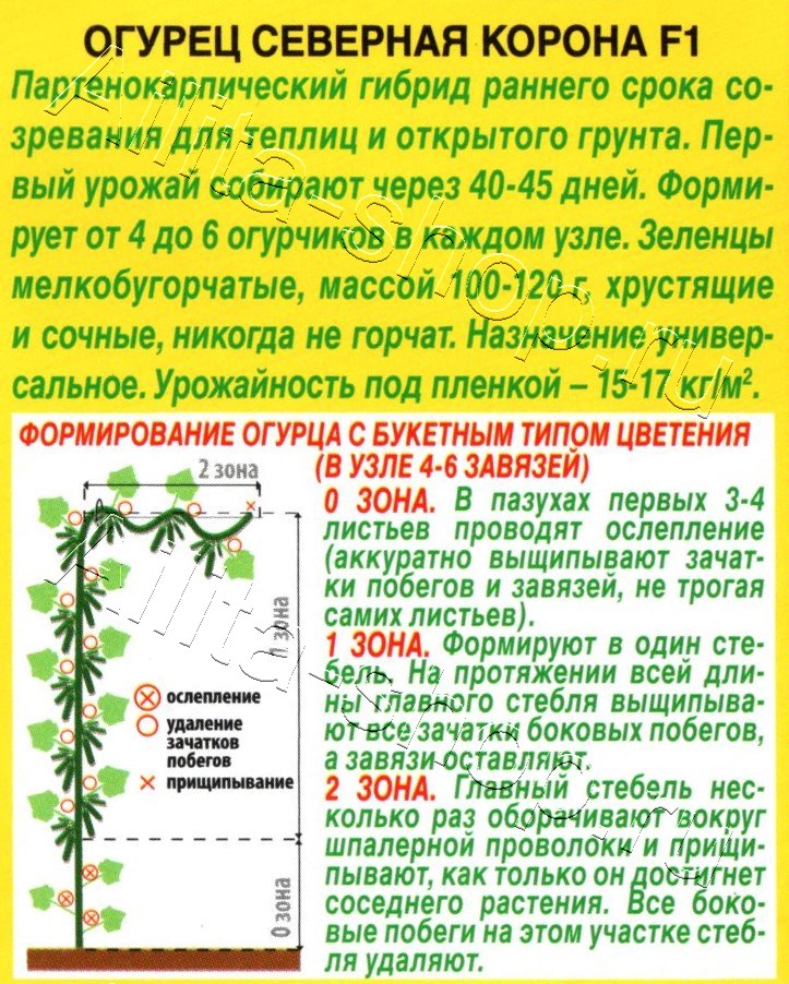 Огурец Северная корона F1 10шт