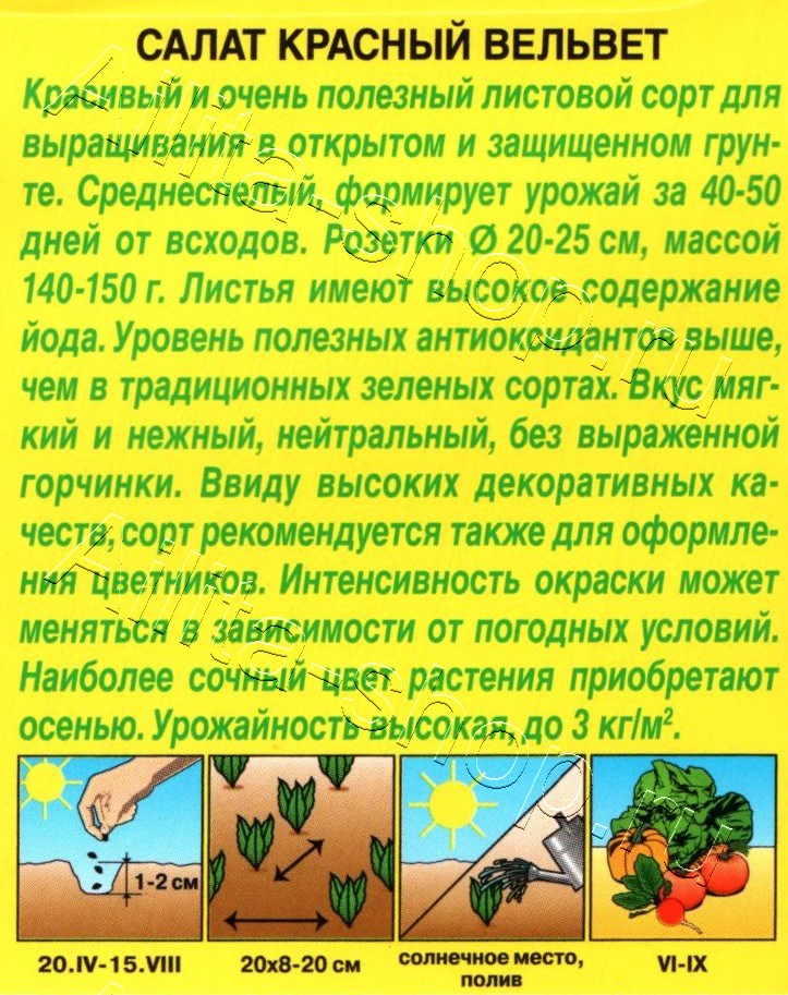Салат Красный вельвет листовой 0,5г