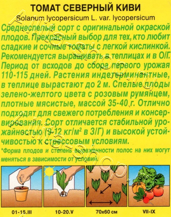 Томат Северный киви 20шт