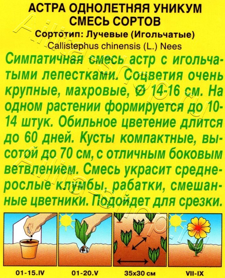 Астра Уникум, смесь окрасок 0,2г