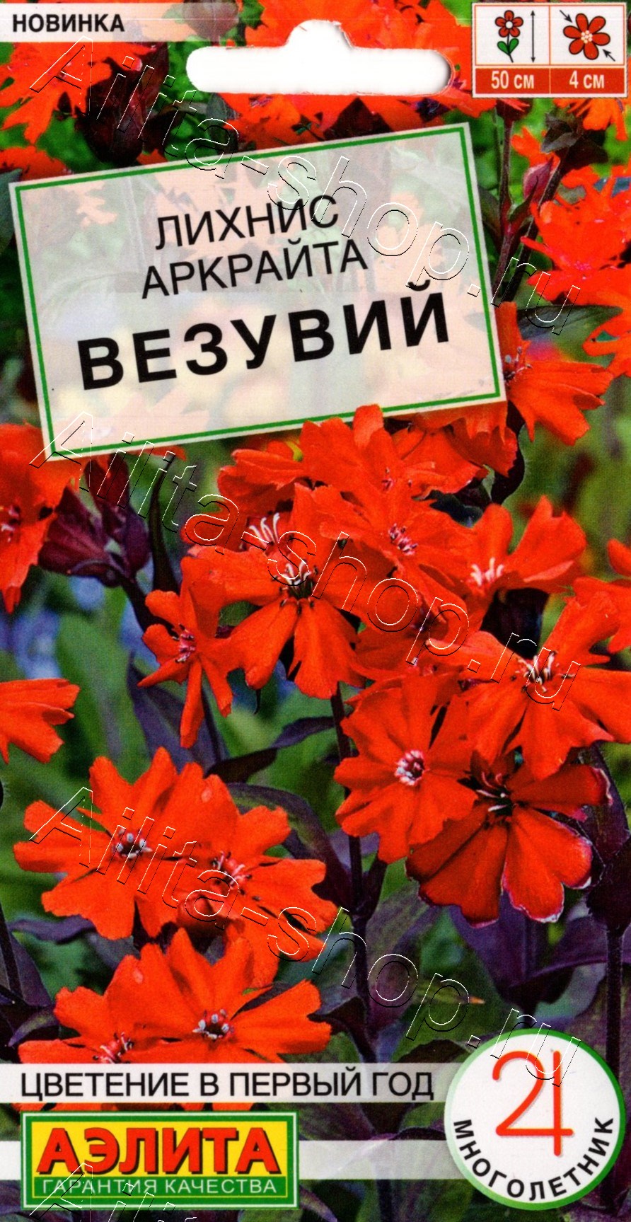 Лихнис Везувий 0,1г
