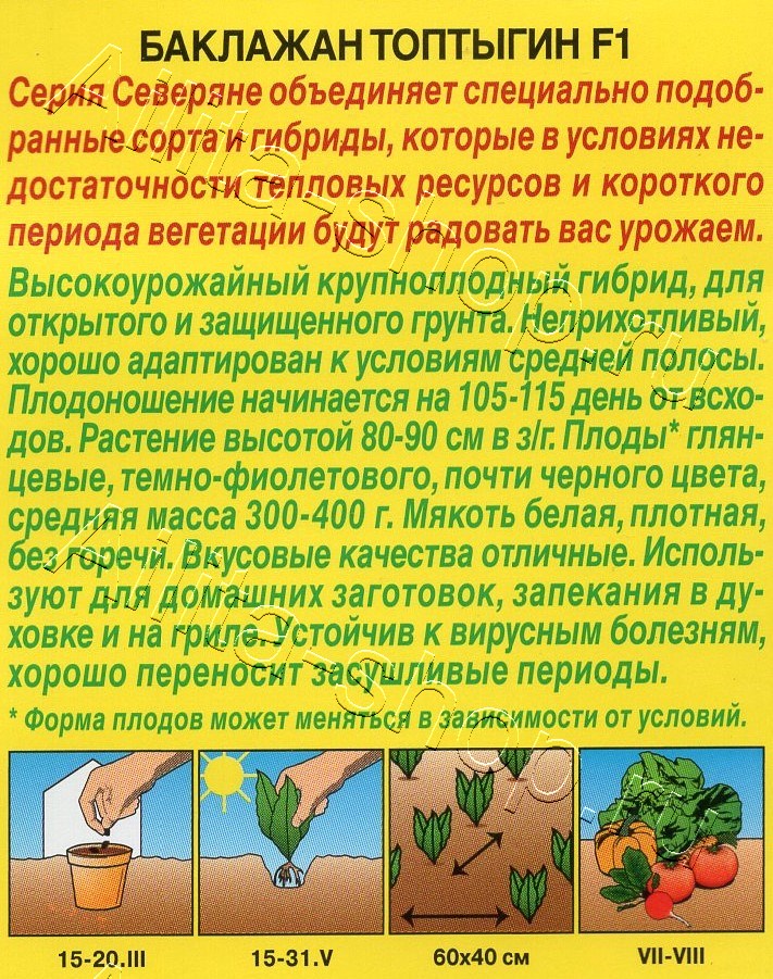 Баклажан Топтыгин F1 10шт