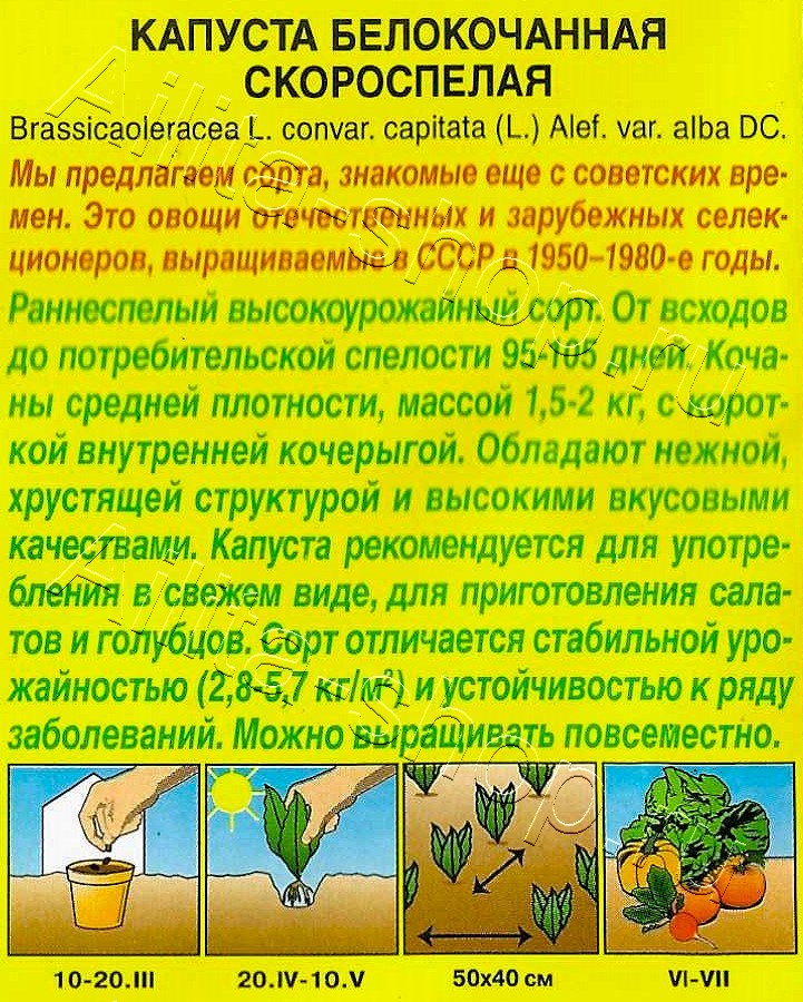 Капуста белокочанная Скороспелая 0,5г