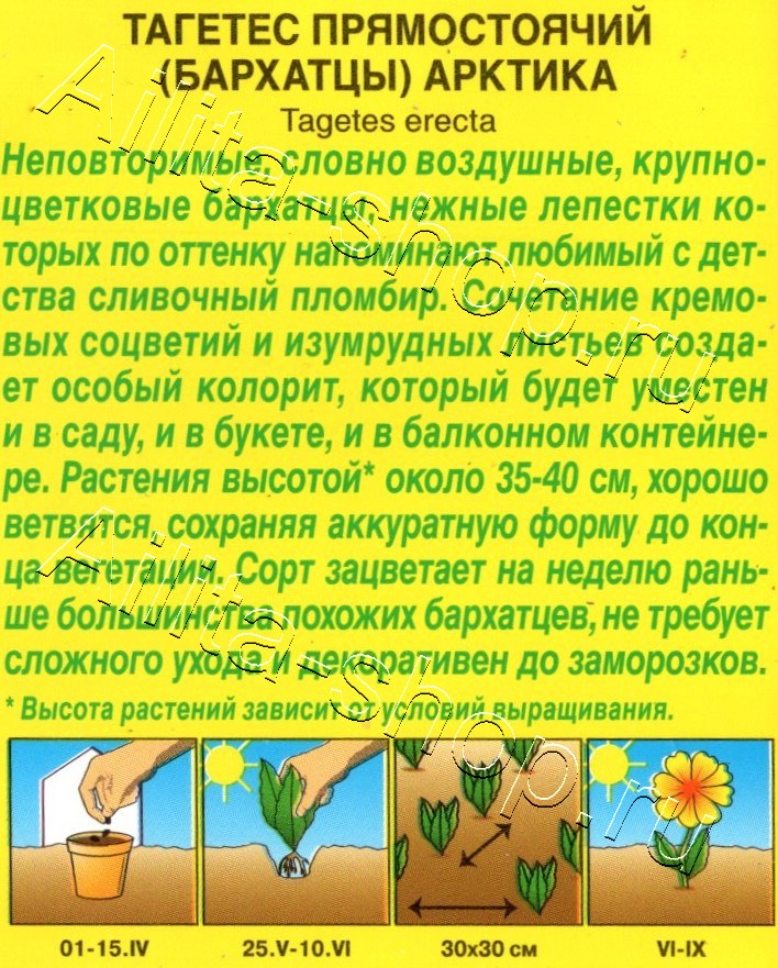 Бархатцы Арктика прямостоячие 0,05г
