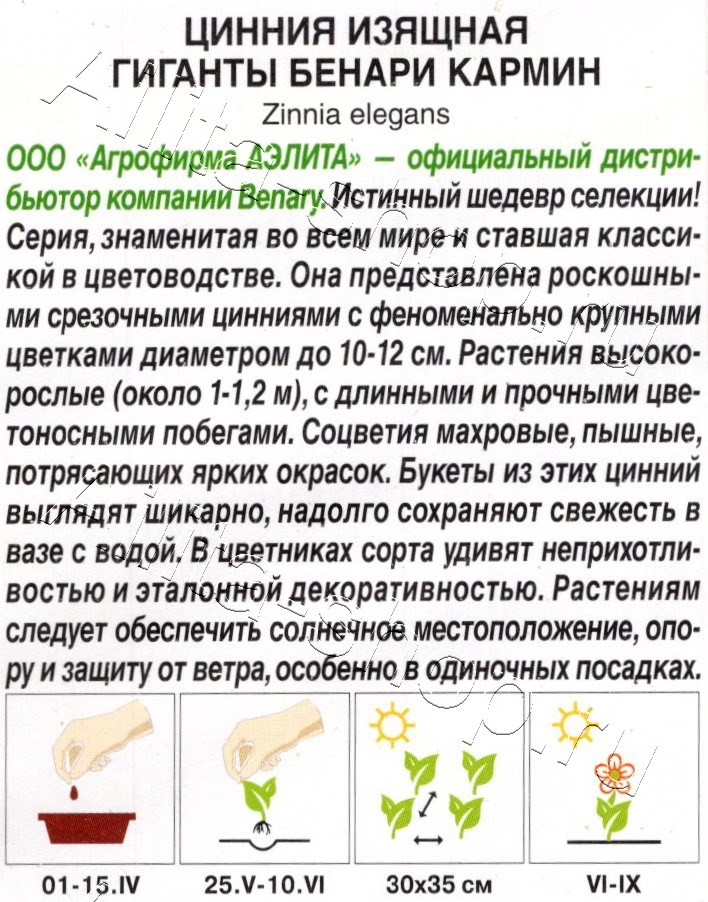 Цинния Гиганты Бенари кармин 7шт