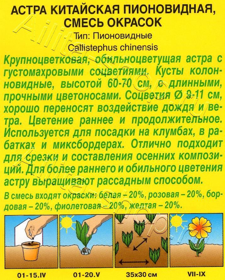 Астра Пионовидная, смесь окрасок 0,2г