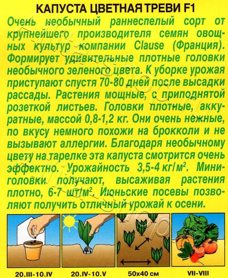 Капуста цветная Треви F1 5шт