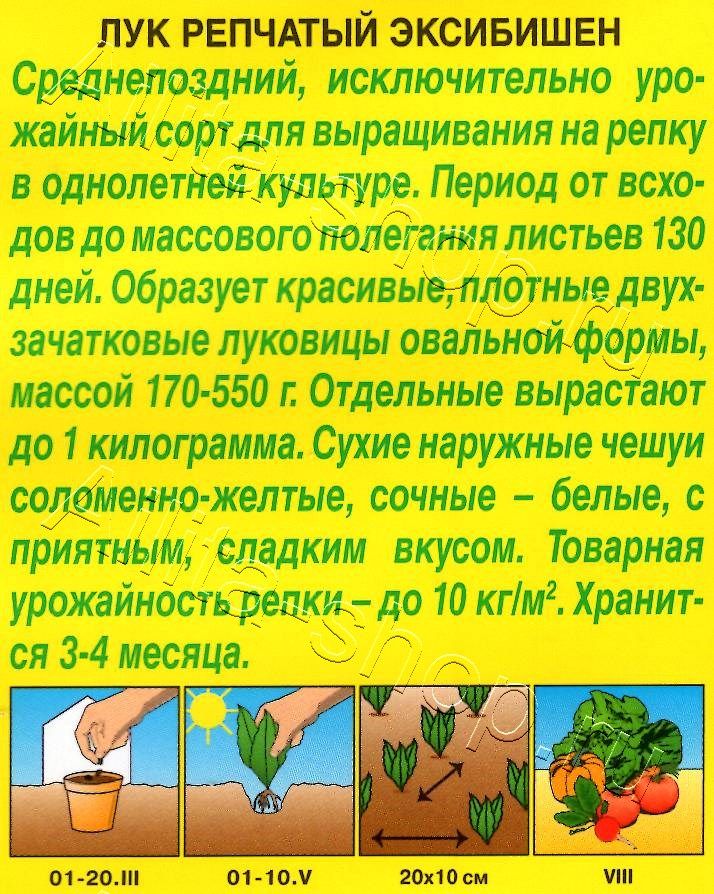 Лук репчатый Эксибишен 0,3г