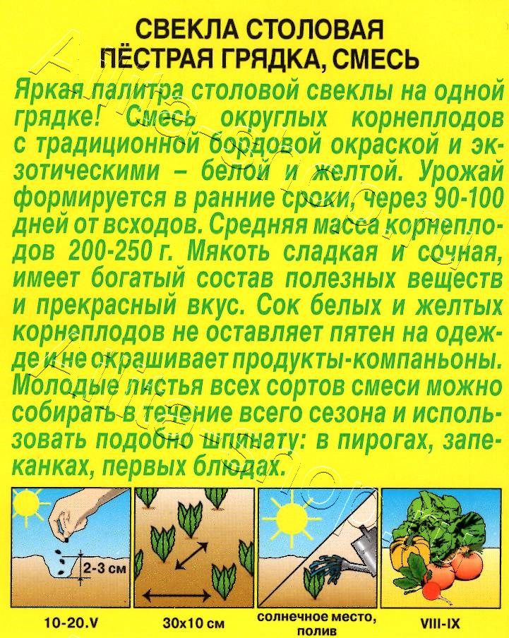 Свекла столовая Пестрая грядка, смесь 0,5г