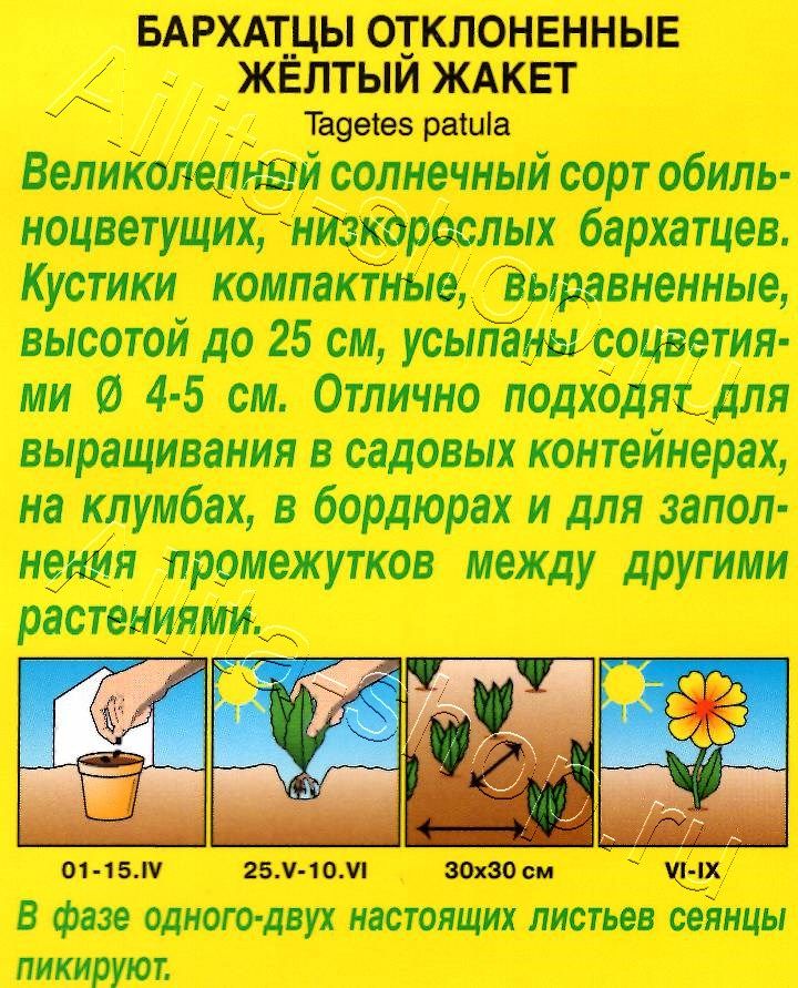 Бархатцы Желтый жакет 0,1г