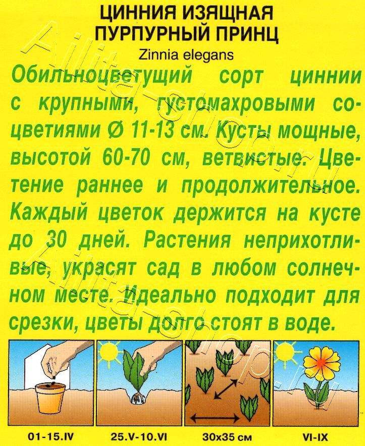 Цинния Пурпурный принц 0,3г