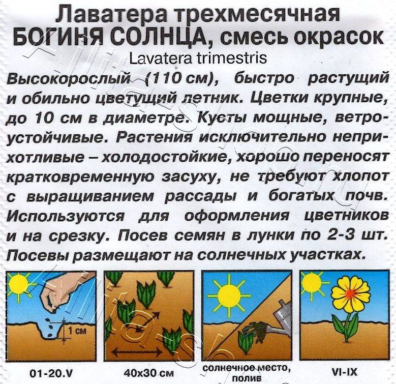 Лаватера Богиня солнца, смесь окрасок 0,3г