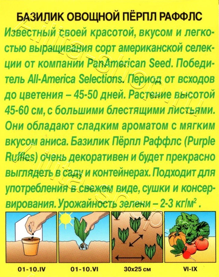 Базилик овощной Перпл Раффлс 8шт