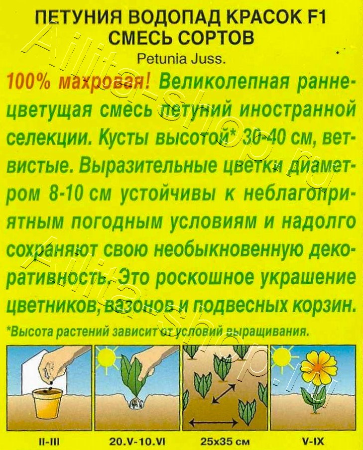 Петуния Водопад красок F1 крупноцветковая махровая, смесь сортов 5шт