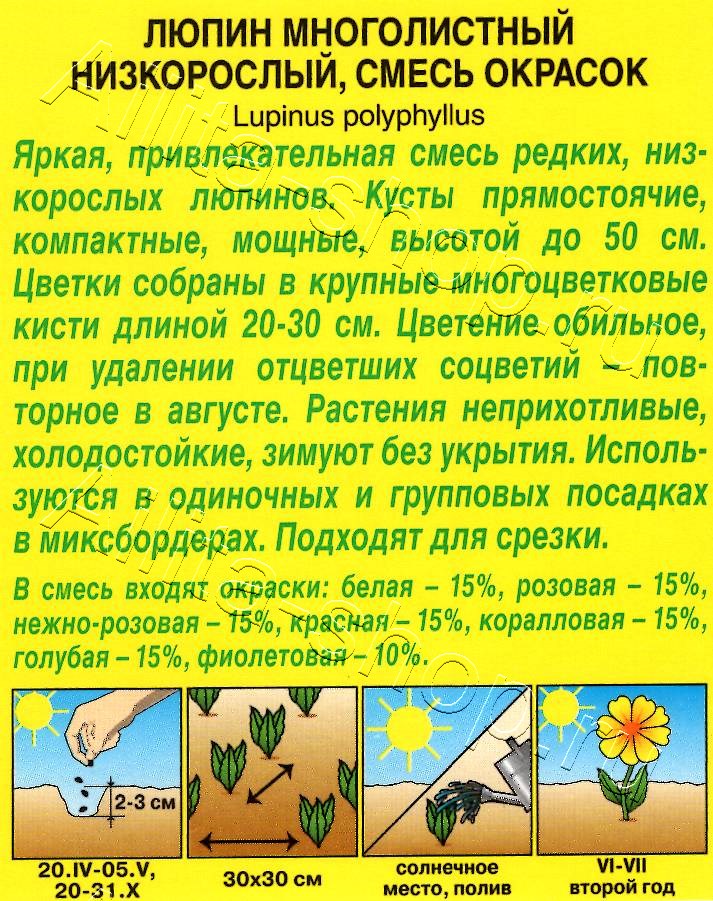 Люпин Низкорослый, смесь сортов 15шт