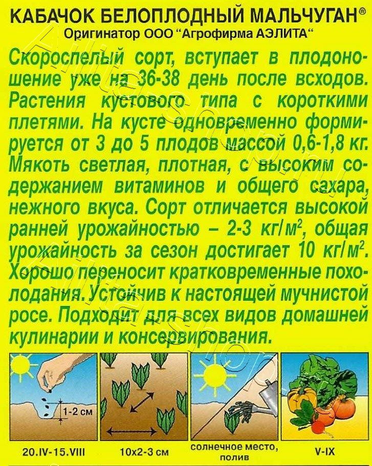 Кабачок белоплодный Мальчуган 1г