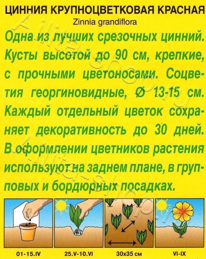 Цинния Крупноцветковая красная 0,3г