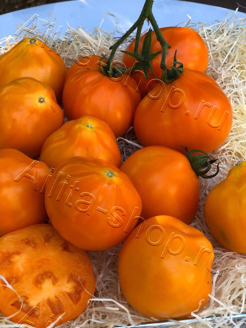 Томат Копилка 20шт