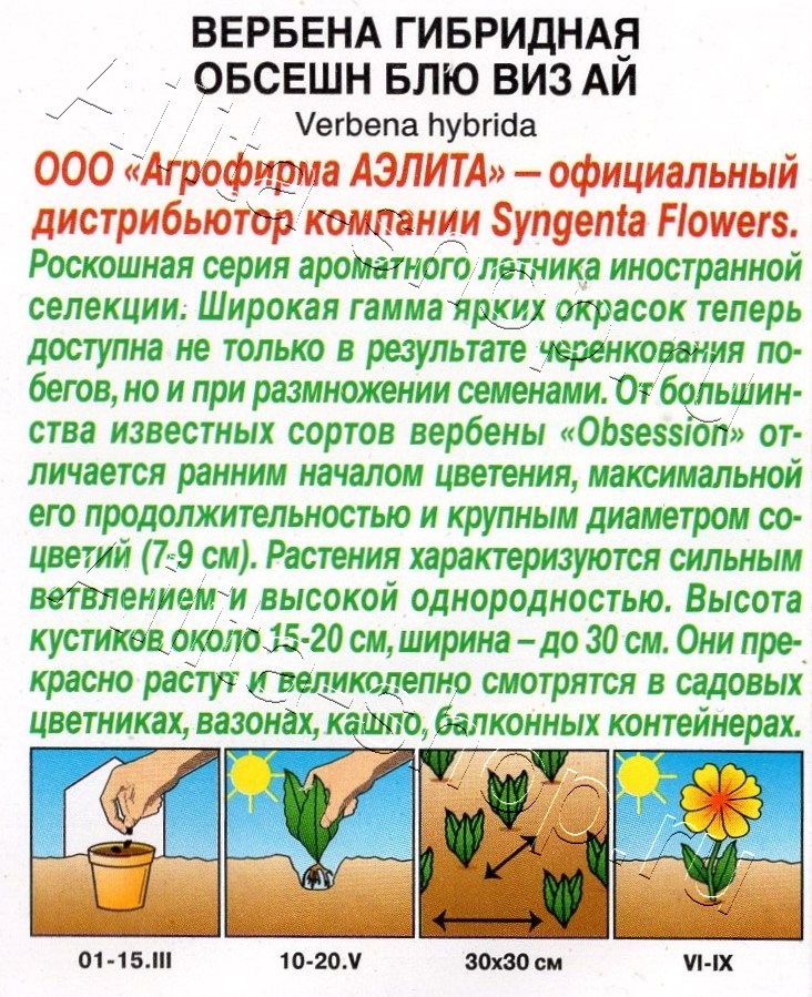 Вербена Обсешн блю виз ай 5шт