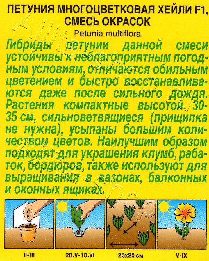 Петуния Хейли F1 многоцветковая, смесь сортов 7шт