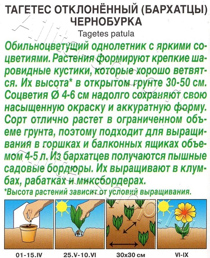 Бархатцы Чернобурка отклоненные 0,3г