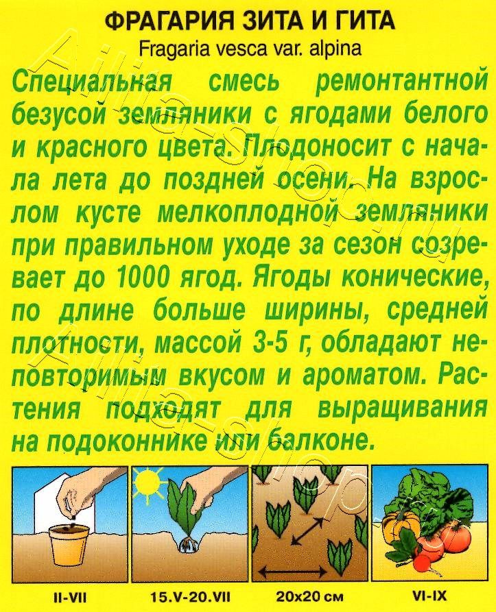 Земляника Зита и Гита, смесь 0,04г