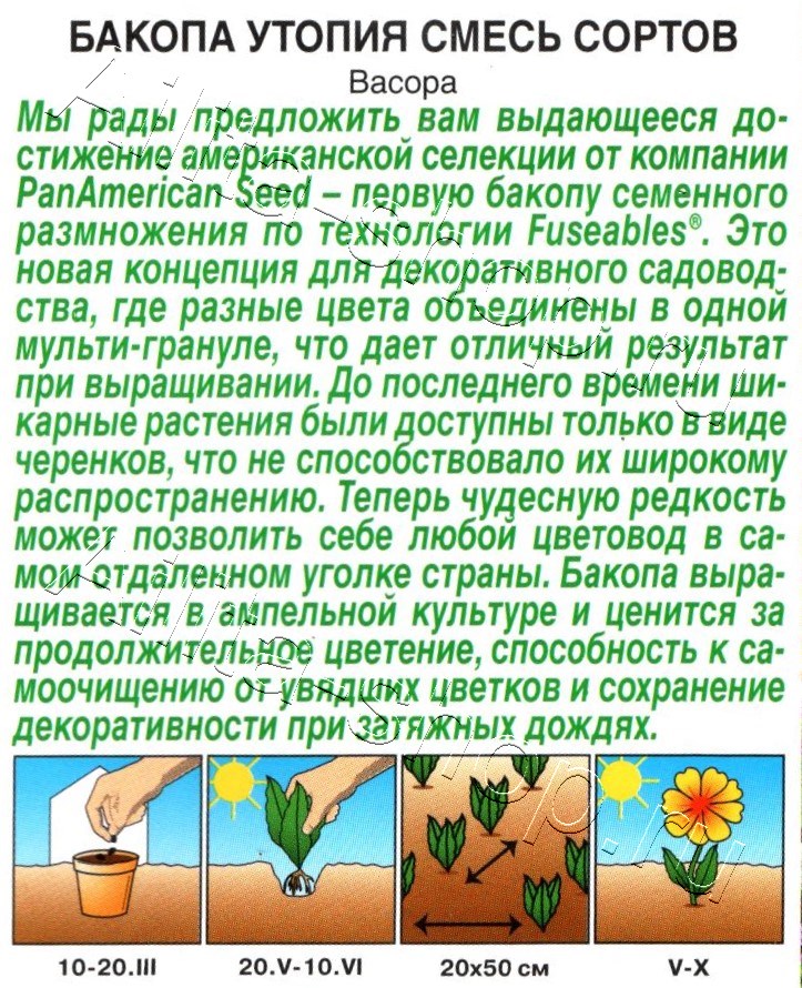 Бакопа Утопия, смесь сортов 3шт