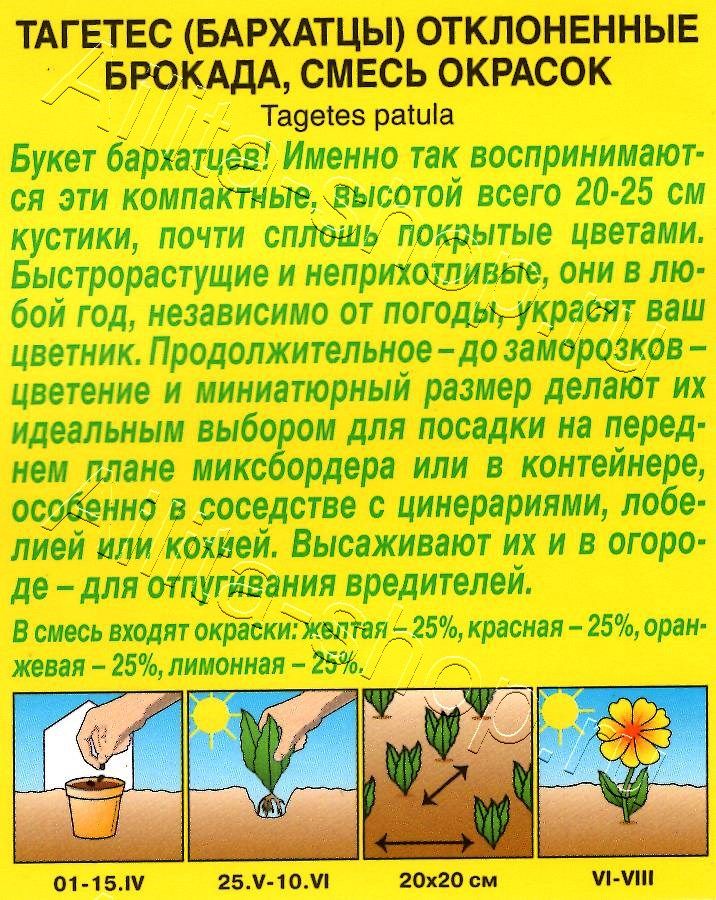 Бархатцы Брокада, смесь окрасок 0,3г