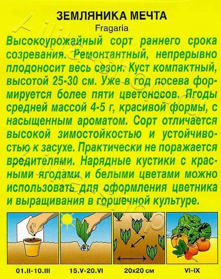 Земляника альпийская Мечта 0,04г