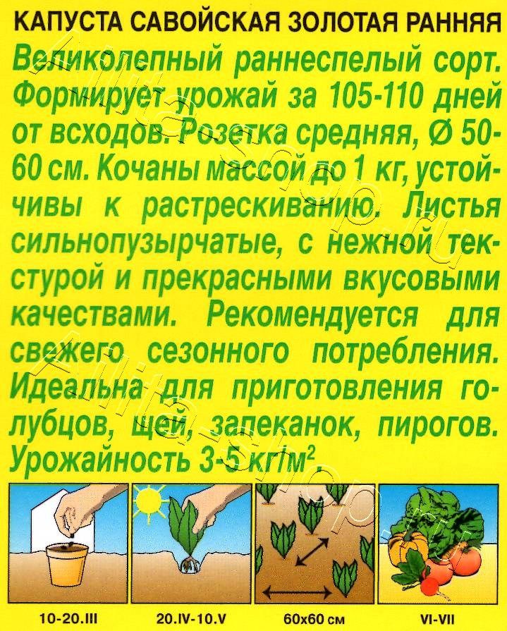 Капуста савойская Золотая ранняя 0,5г