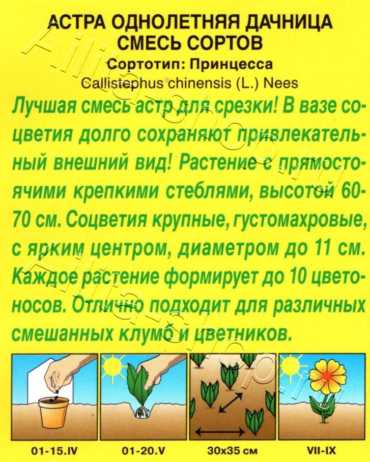 Астра Дачница, смесь сортов 0,2г