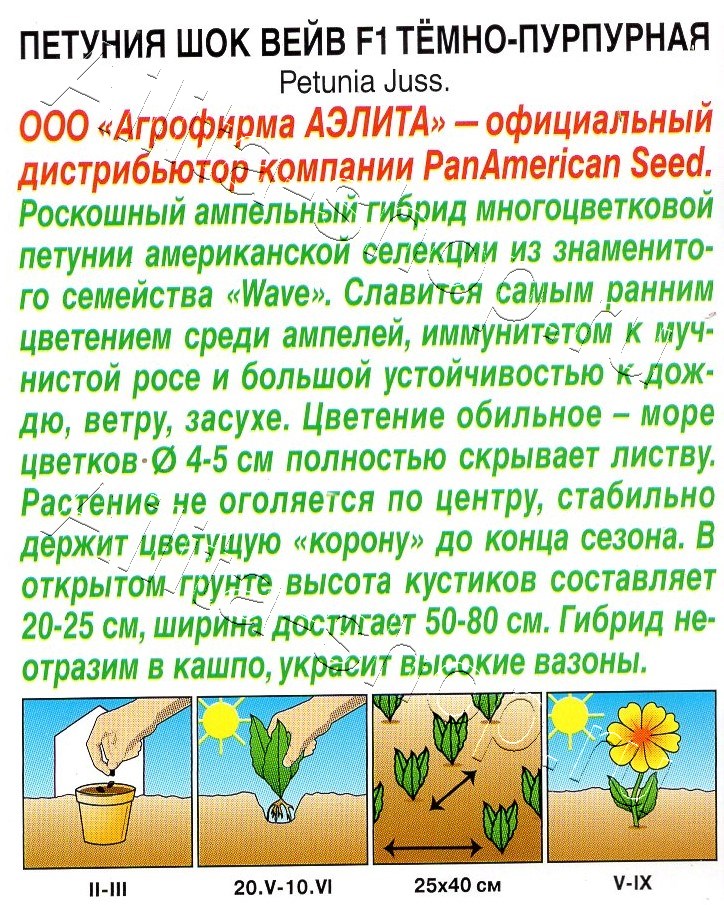 Петуния Шок вейв F1 темно-пурпурная 4шт