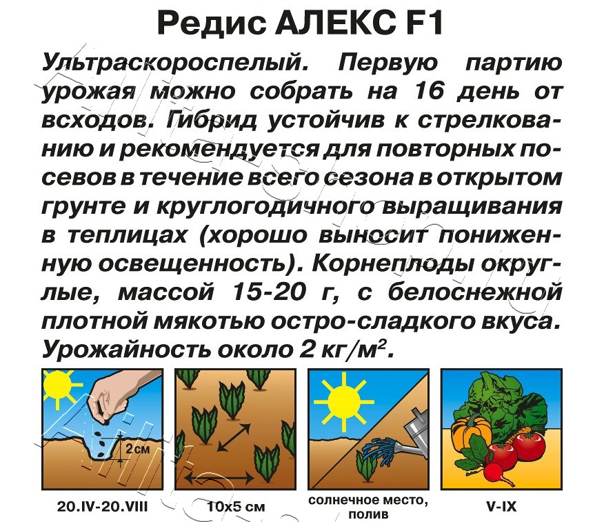 Редис Алекс F1 2г