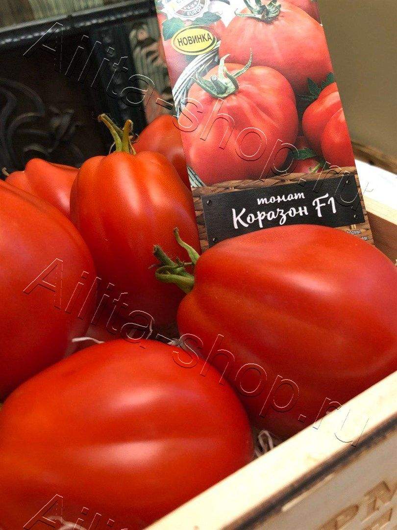 Томат Коразон F1 7шт