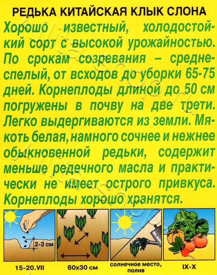 Редька китайская Клык слона 1г