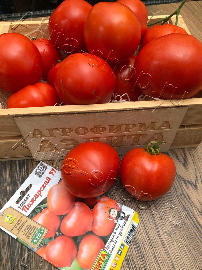 Томат Пожарский F1 10шт