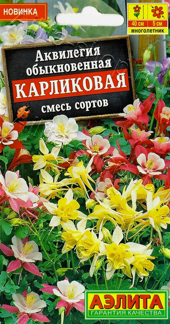 Аквилегия Карликовая, смесь сортов 0,1г