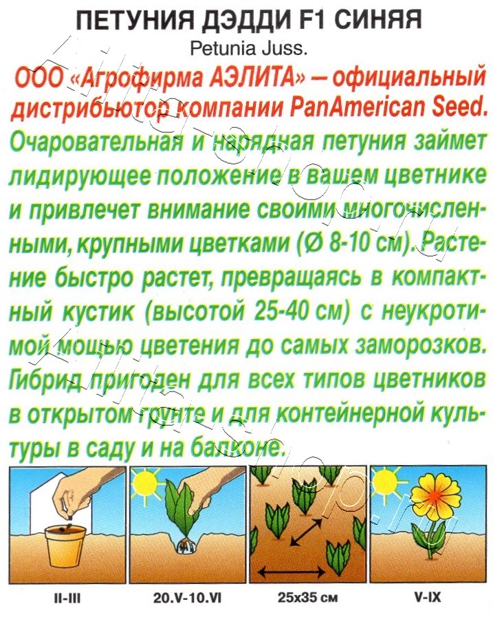 Петуния Дэдди F1 синяя 7шт