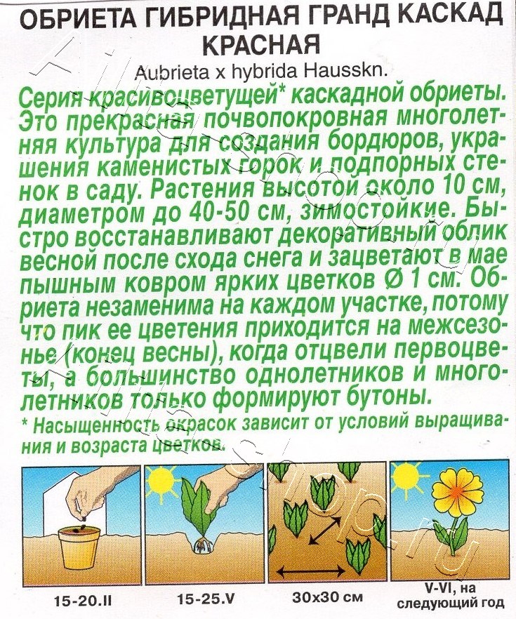 Обриета Гранд каскад красная 0,05г