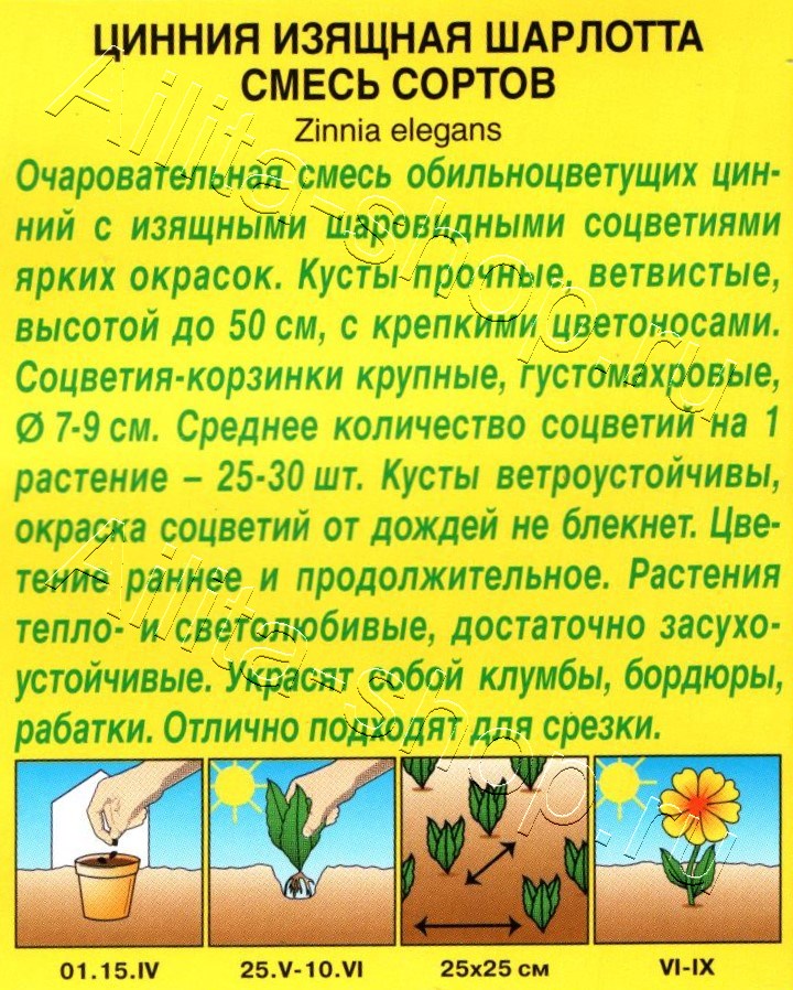 Цинния Шарлотта, смесь окрасок 0,3г