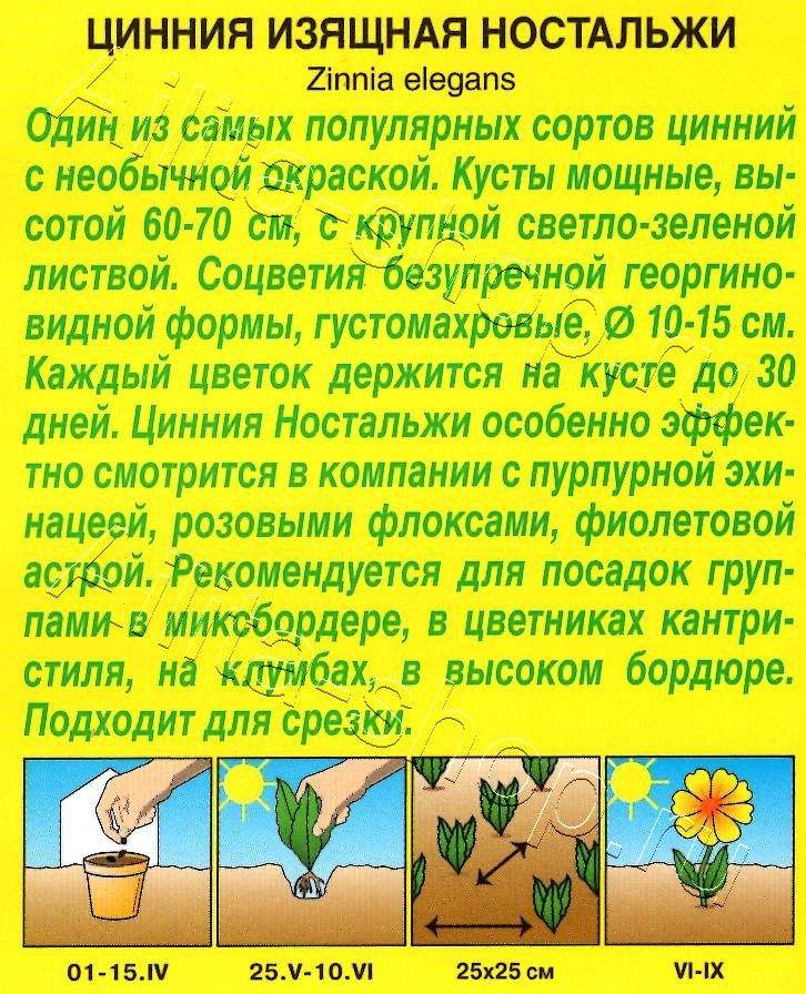 Цинния Ностальжи 0,3г