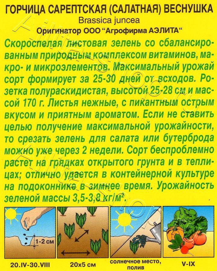 Горчица салатная Веснушка 0,5г