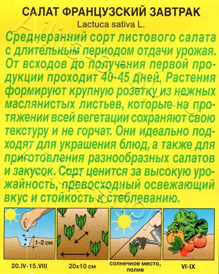 Салат Французский завтрак 0,1г