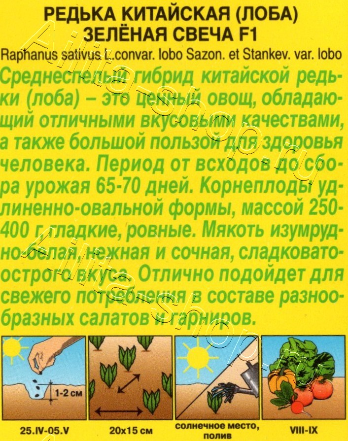 Редька китайская Зелёная свеча F1 5шт