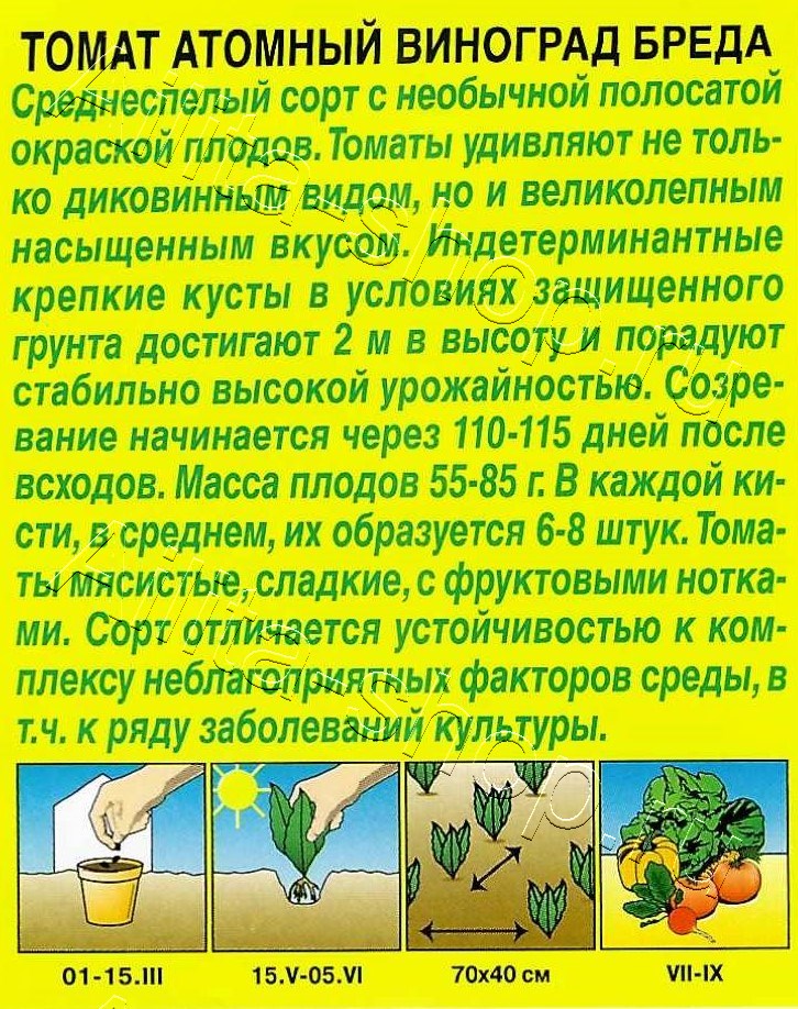 Томат Атомный виноград Бреда 20шт