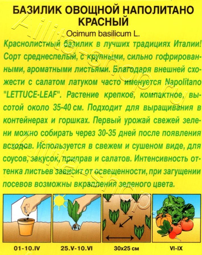 Базилик овощной Наполитано красный 0,1г