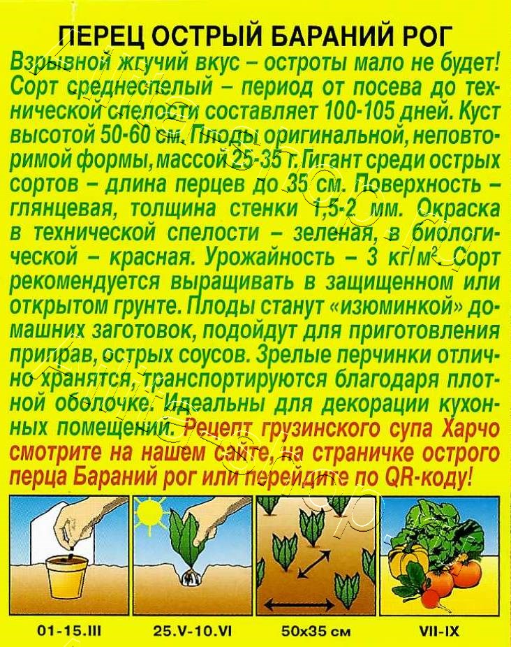 Перец острый Бараний рог 20шт