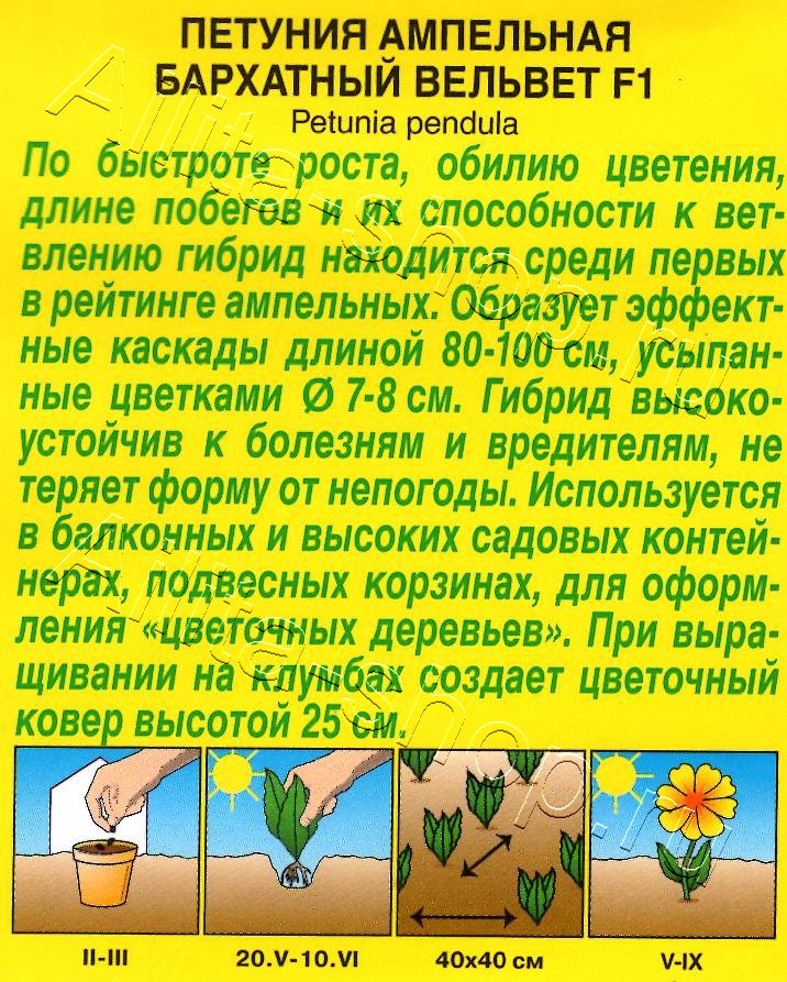 Петуния Бархатный вельвет F1 ампельная 4шт