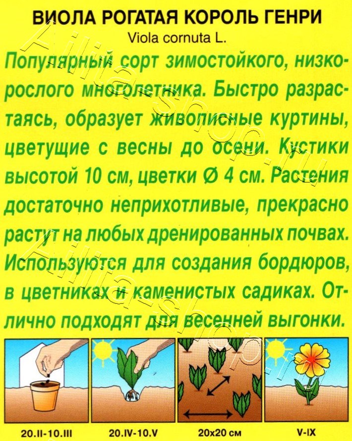 Виола Король Генри 20шт